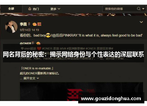 网名背后的秘密：揭示网络身份与个性表达的深层联系