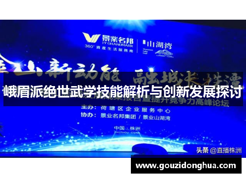峨眉派绝世武学技能解析与创新发展探讨