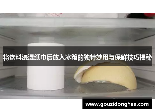 将饮料浸湿纸巾后放入冰箱的独特妙用与保鲜技巧揭秘