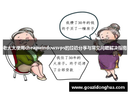 老太太使用cheapwindowsvps的经验分享与常见问题解决指南