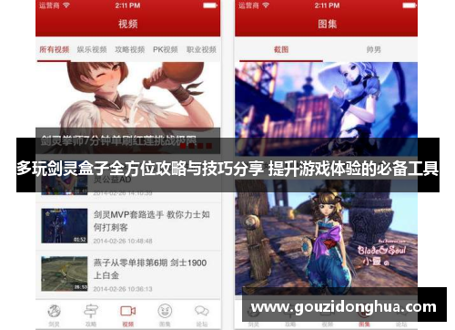 多玩剑灵盒子全方位攻略与技巧分享 提升游戏体验的必备工具
