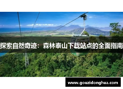 探索自然奇迹：森林泰山下载站点的全面指南